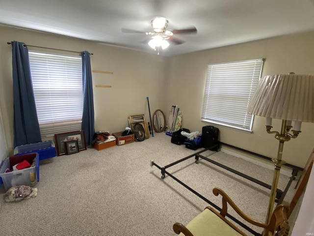 401 College Ave, Winona Lake, IN 46590 - workout area featuring carpet floors and ceiling fan
