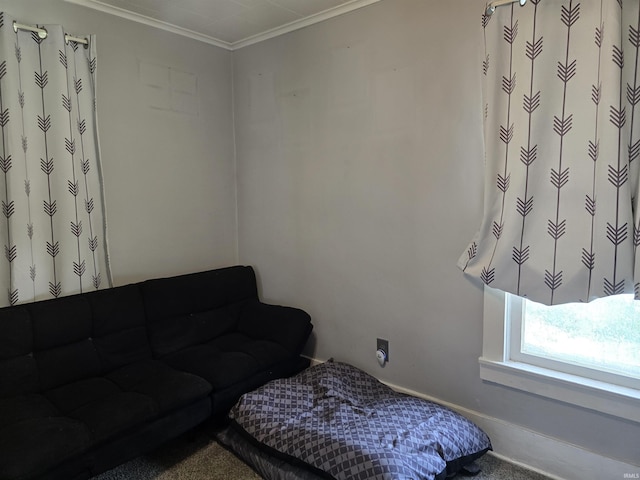 732 Dowling St, Kendallville, IN 46755 - living area featuring carpet flooring and ornamental molding