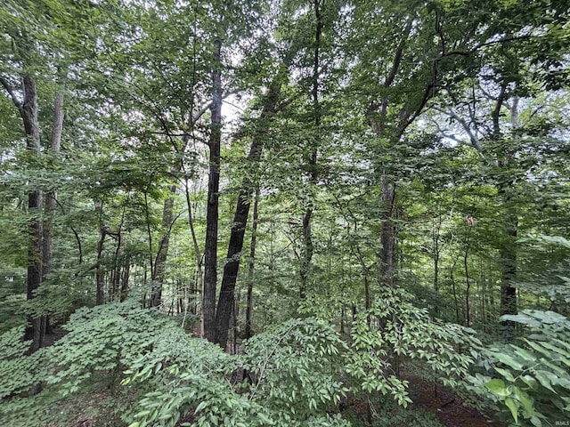 9324 S Lake Ridge Dr Unit 60, Bloomington, IN 47401 - view of woods