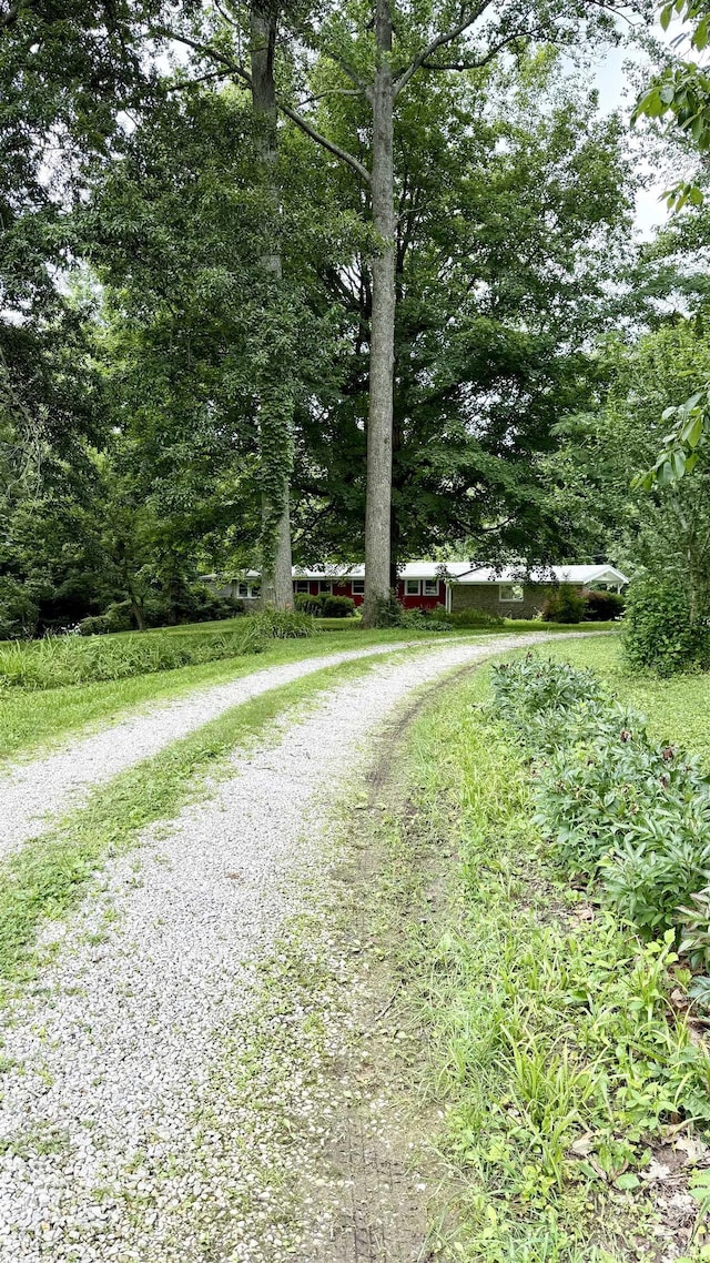 96 Greenwood Retreat Rd, Bedford, IN 47421 - view of dirt / gravel road