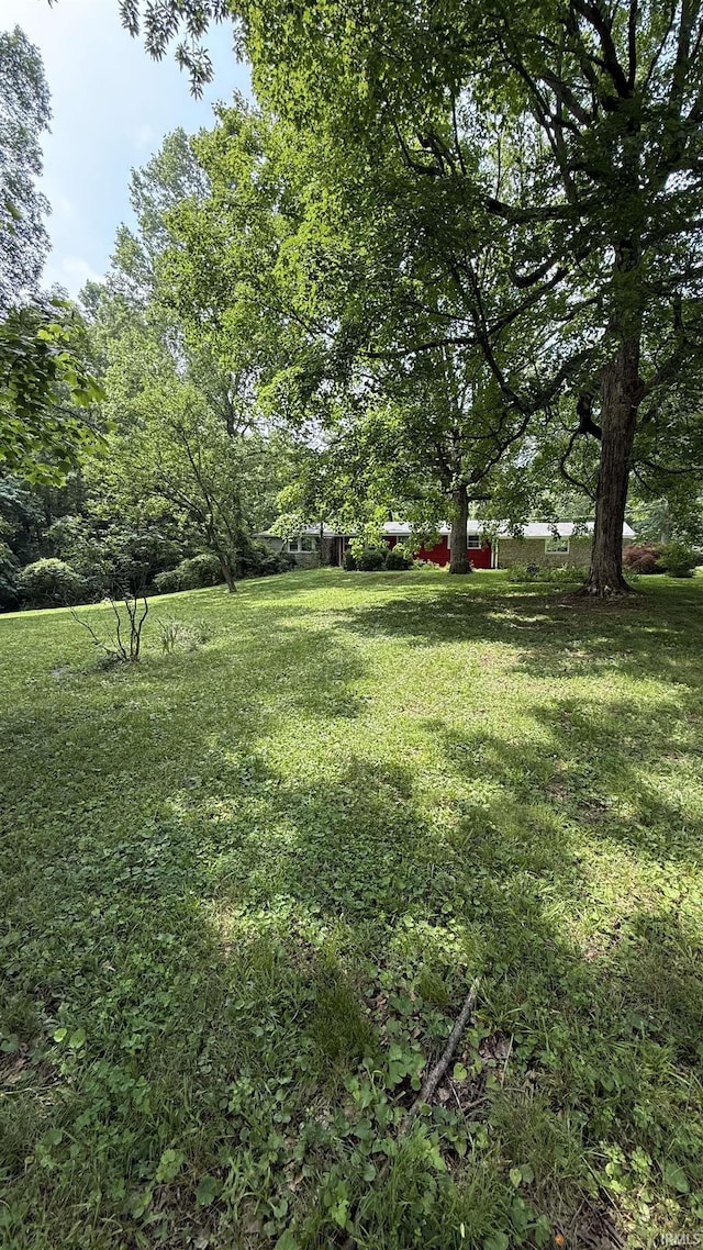 96 Greenwood Retreat Rd, Bedford, IN 47421 - view of green lawn