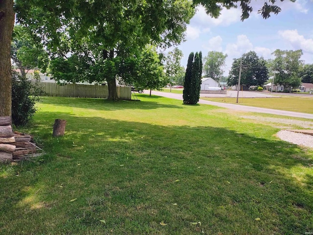 607 W 4th St, North Manchester, IN 46962 - view of yard
