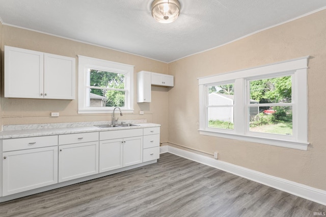 1009 N Adams St, South Bend, IN 46628 - kitchen featuring crown molding, plenty of natural light, light countertops, light wood-style floors, and a textured ceiling