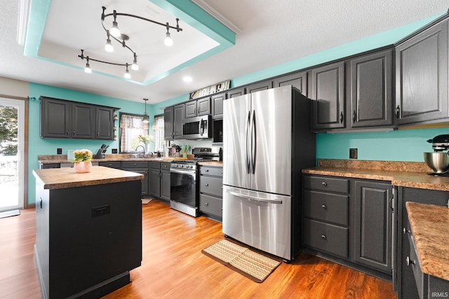 11301 Clarendon Pass, Fort Wayne, IN 46845 - kitchen with stainless steel appliances, a kitchen island, light wood-style floors, and a tray ceiling