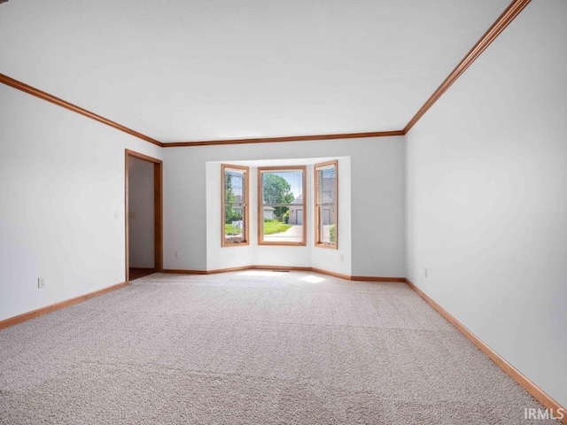 624 Diamond Point Pl, Fort Wayne, IN 46804 - spare room featuring ornamental molding and light colored carpet
