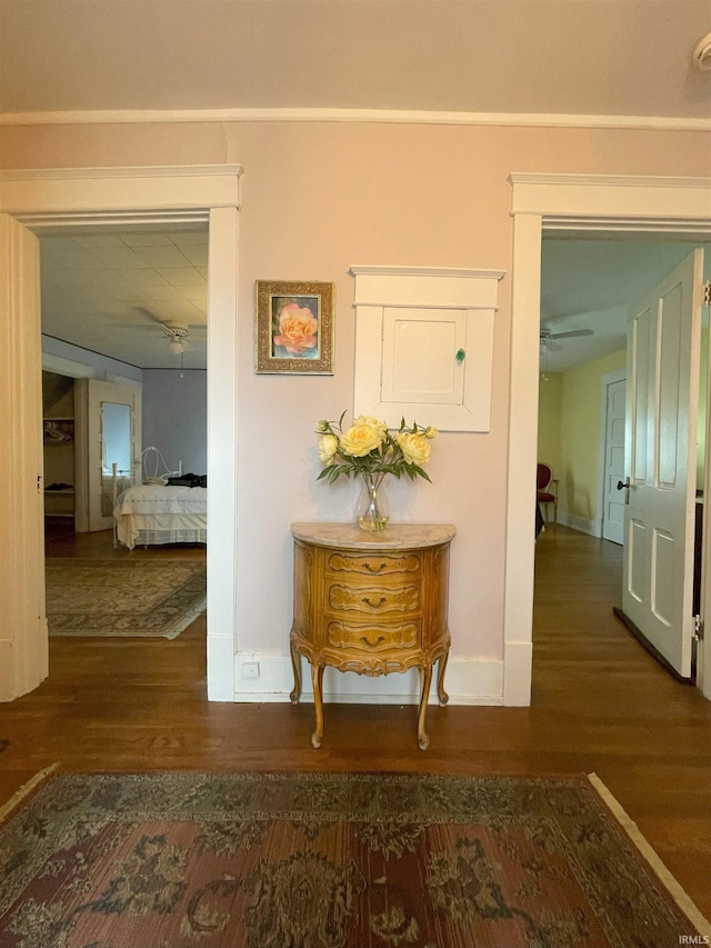 217 S 9th St, Vincennes, IN 47591 - hallway with wood finished floors and baseboards