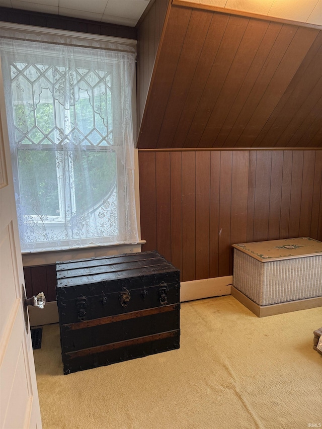 217 S 9th St, Vincennes, IN 47591 - bonus room with light colored carpet and wooden walls