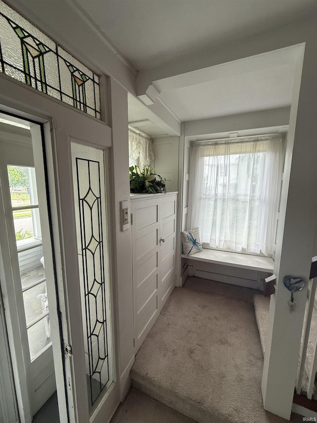 217 S 9th St, Vincennes, IN 47591 - entrance foyer with carpet
