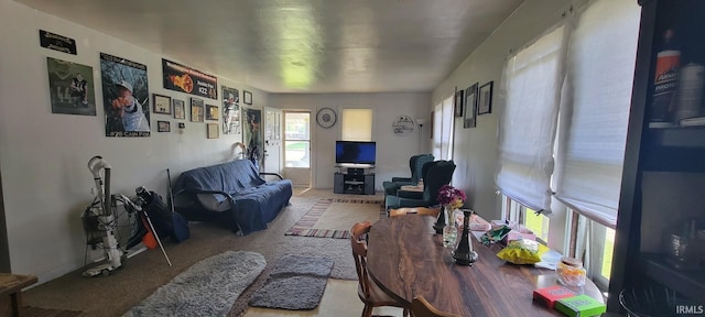 601 N State Road 57, Washington, IN 47501 - living area with carpet