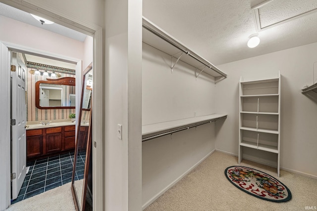 2166 Willow Creek Dr, Mishawaka, IN 46545 - spacious closet with a sink and carpet floors