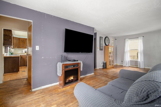 227 E Marion St, Mishawaka, IN 46545 - living room featuring light wood-style floors and a warm lit fireplace