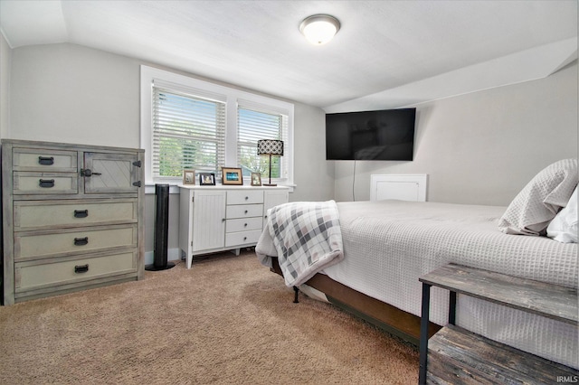 909 Independence St, Elkhart, IN 46514 - bedroom with vaulted ceiling and light colored carpet