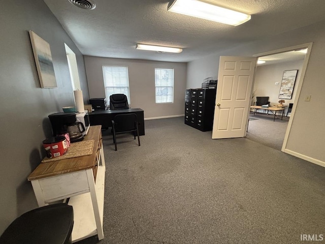 721 N 7th St, Vincennes, IN 47591 - home office featuring carpet floors and a textured ceiling