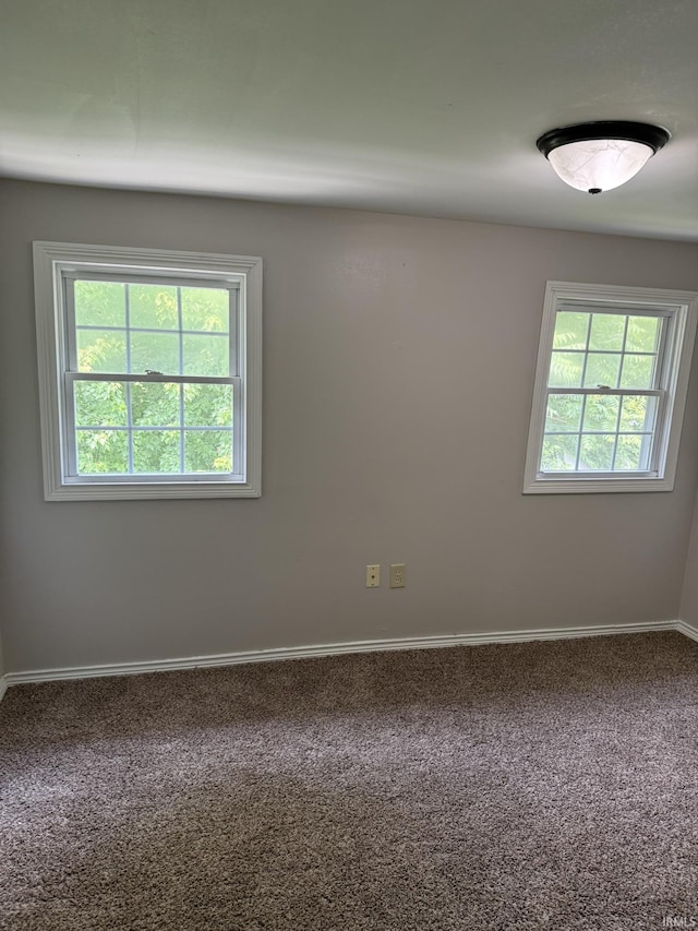 310 W Leith St, Fort Wayne, IN 46807 - spare room featuring carpet and plenty of natural light