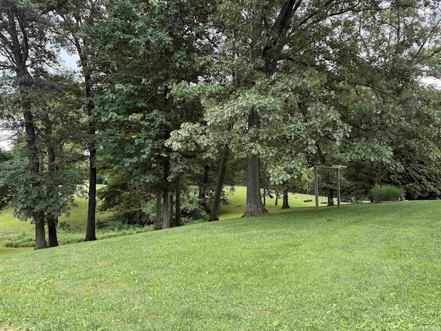 299 Spring Haven Rd, Mitchell, IN 47446 - view of green lawn