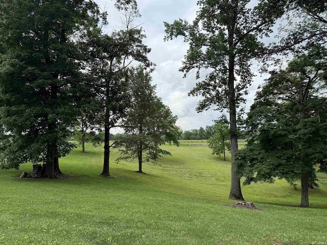 299 Spring Haven Rd, Mitchell, IN 47446 - view of grassy yard