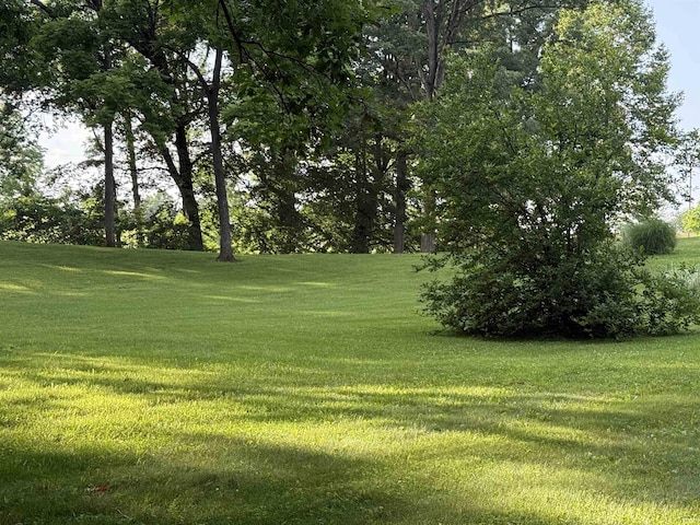 299 Spring Haven Rd, Mitchell, IN 47446 - view of green lawn