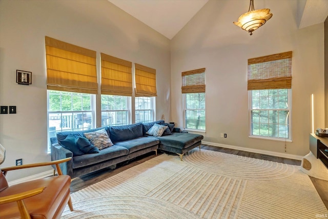 1045 E Chris Ln, Bloomington, IN 47401 - living room featuring plenty of natural light, wood finished floors, and high vaulted ceiling