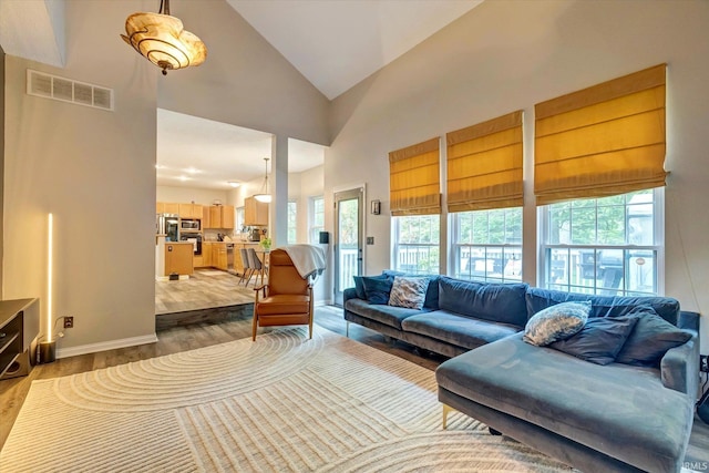 1045 E Chris Ln, Bloomington, IN 47401 - living room with dark wood-style floors and high vaulted ceiling