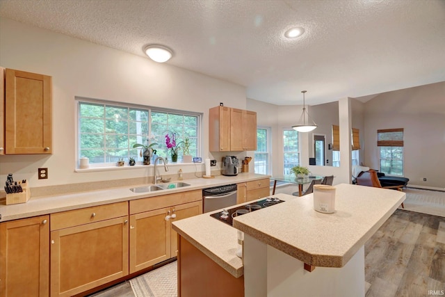 1045 E Chris Ln, Bloomington, IN 47401 - kitchen with stainless steel dishwasher, light wood-style flooring, plenty of natural light, a textured ceiling, and recessed lighting