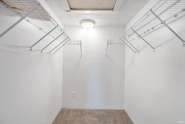 914 Golden Ave, South Bend, IN 46616 - spacious closet with carpet floors