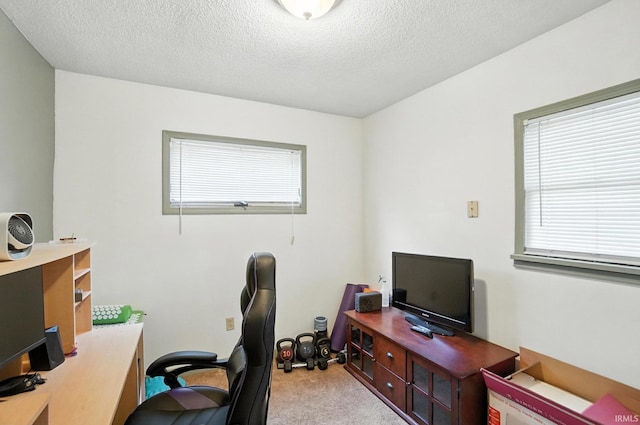 2707 Stanford Ave, Fort Wayne, IN 46808 - office area with healthy amount of natural light, carpet flooring, and a textured ceiling