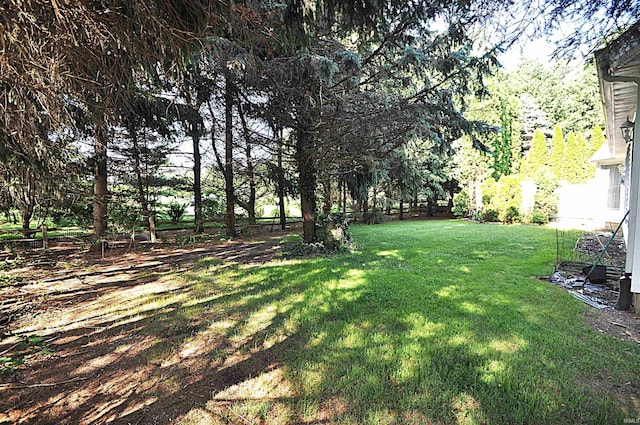 14689 Adams Rd, Granger, IN 46530 - view of grassy yard