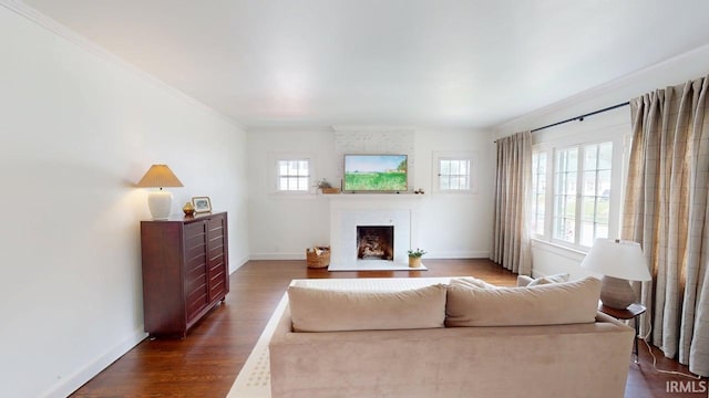 325 W 5th St, Jasper, IN 47546 - living room with plenty of natural light, a fireplace with flush hearth, ornamental molding, and dark wood-type flooring