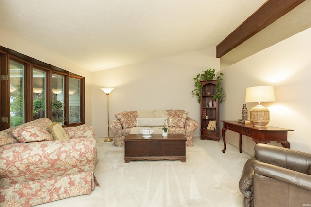 12069 N Timberline Trce, Granger, IN 46530 - view of carpeted living area