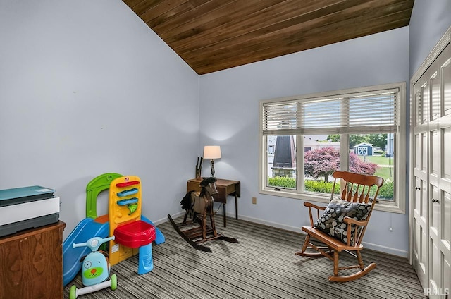 51257 Blue Ribbon Ln, Elkhart, IN 46514 - sitting room featuring lofted ceiling, carpet, and wood ceiling