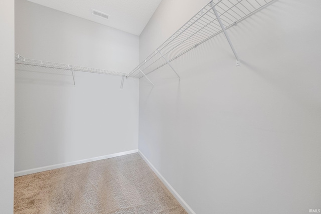 13233 Mera Cv, Fort Wayne, IN 46814 - spacious closet with carpet floors