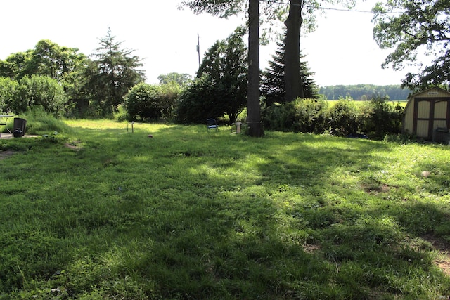 50859 Oak Tree Ln, Bristol, IN 46507 - view of grassy yard with a shed
