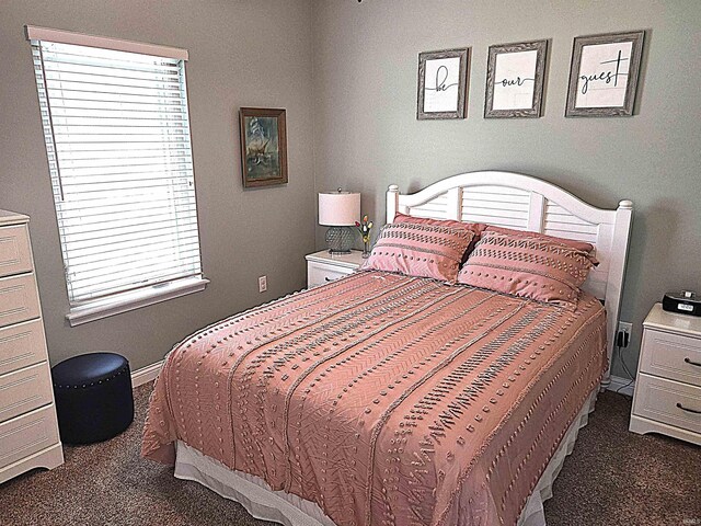 3520 Lintel Dr, West Lafayette, IN 47906 - bedroom featuring carpet and baseboards