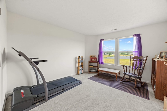 5590 Westfalen Way, Lafayette, IN 47905 - workout area with carpet and baseboards