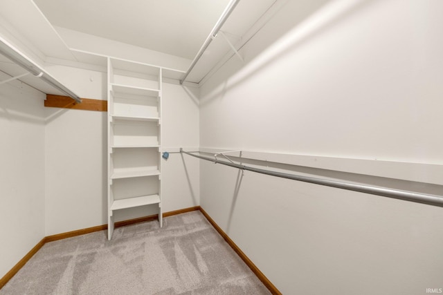 9106 Yellow Tree Ct, Fort Wayne, IN 46804 - walk in closet with light carpet