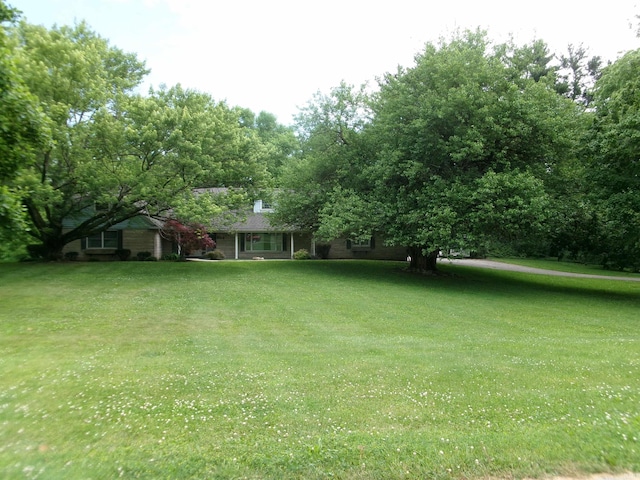 908 N Hawthorne St, Marion, IN 46952 - view of green lawn with view of wooded area