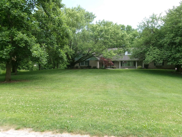 908 N Hawthorne St, Marion, IN 46952 - view of green lawn