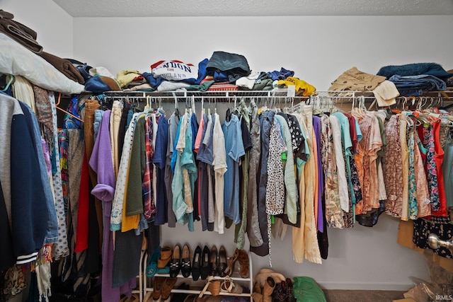 807 Percheron Pl, Lafayette, IN 47905 - walk in closet featuring carpet
