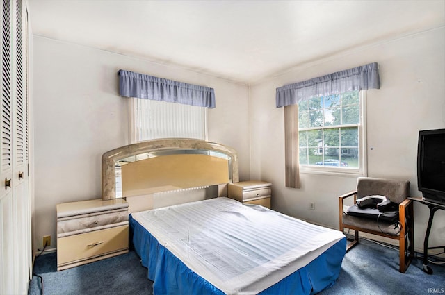 1356 Hampshire Dr, South Bend, IN 46614 - bedroom featuring carpet