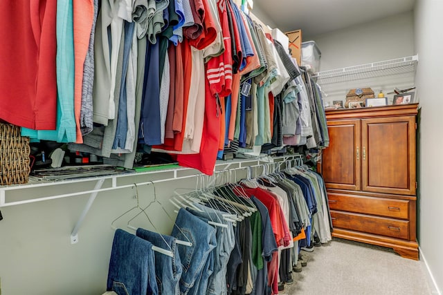5573 Camden Dr, Newburgh, IN 47630 - walk in closet with carpet flooring