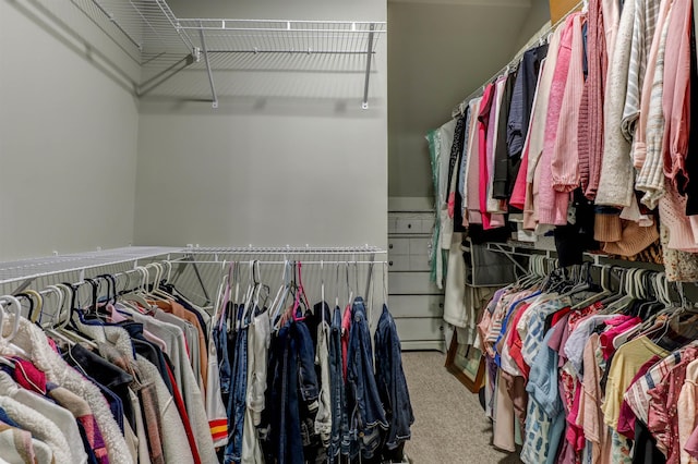 5573 Camden Dr, Newburgh, IN 47630 - walk in closet with carpet