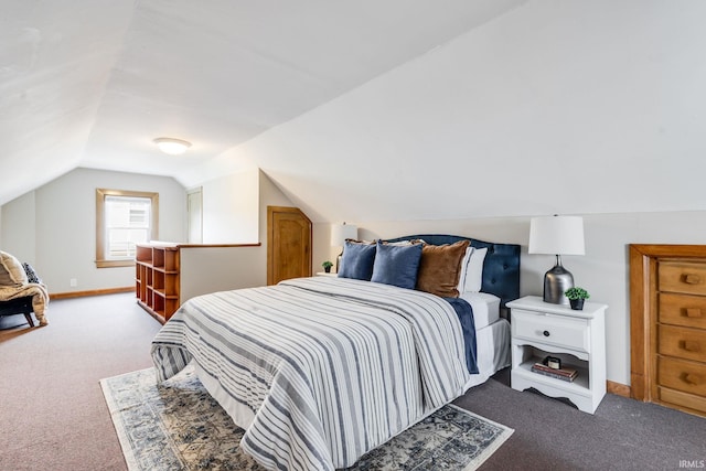 415 Wakewa Ave, South Bend, IN 46617 - bedroom with carpet flooring and lofted ceiling