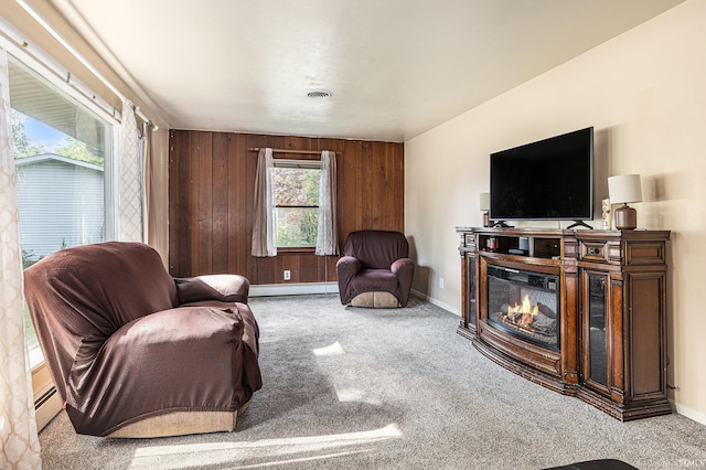 60220 Robin Hood Ln, Elkhart, IN 46517 - carpeted living area with a baseboard radiator, a glass covered fireplace, and wood walls