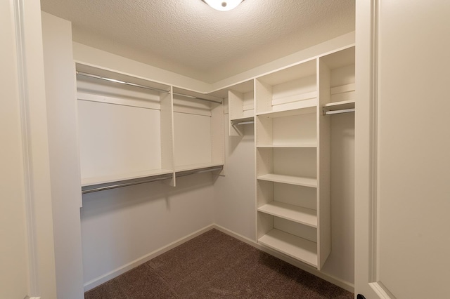 5205 Pigeon Creek Ct, Fort Wayne, IN 46825 - walk in closet with dark carpet