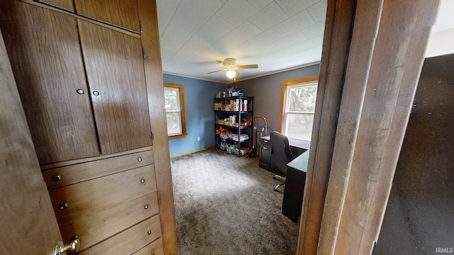 1219 Oakland St, Fort Wayne, IN 46808 - home office with carpet, ceiling fan, and ornamental molding