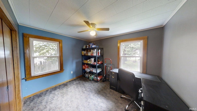 1219 Oakland St, Fort Wayne, IN 46808 - carpeted office space with healthy amount of natural light, crown molding, and a ceiling fan