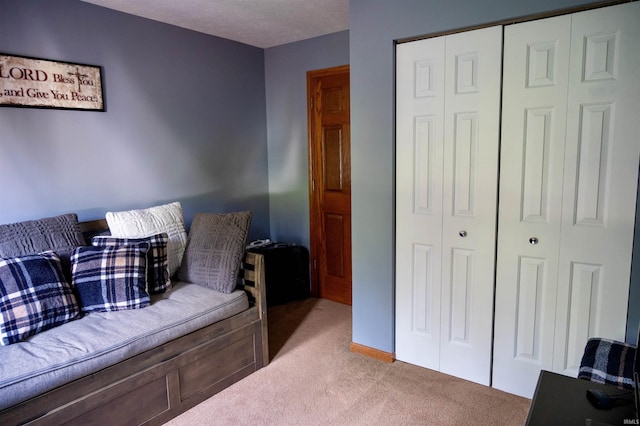27222 Country Lake Ln, Elkhart, IN 46514 - sitting room with light colored carpet