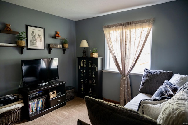 27222 Country Lake Ln, Elkhart, IN 46514 - living area featuring carpet