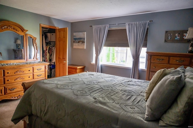27222 Country Lake Ln, Elkhart, IN 46514 - bedroom featuring carpet floors, a closet, and a spacious closet