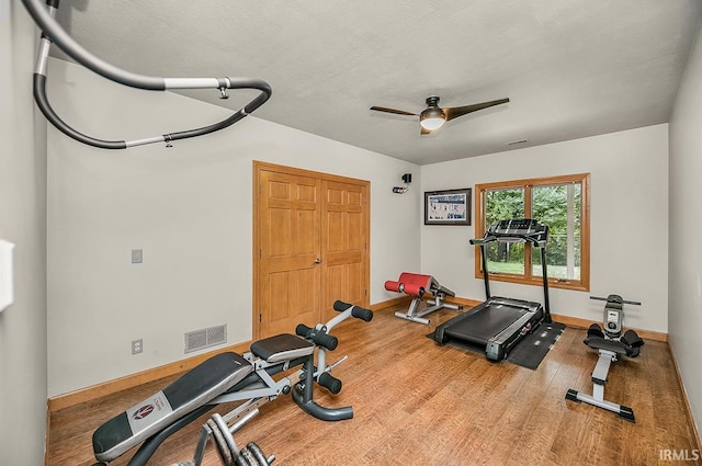 55623 Little Creek Ln, Middlebury, IN 46540 - workout area featuring ceiling fan and wood finished floors